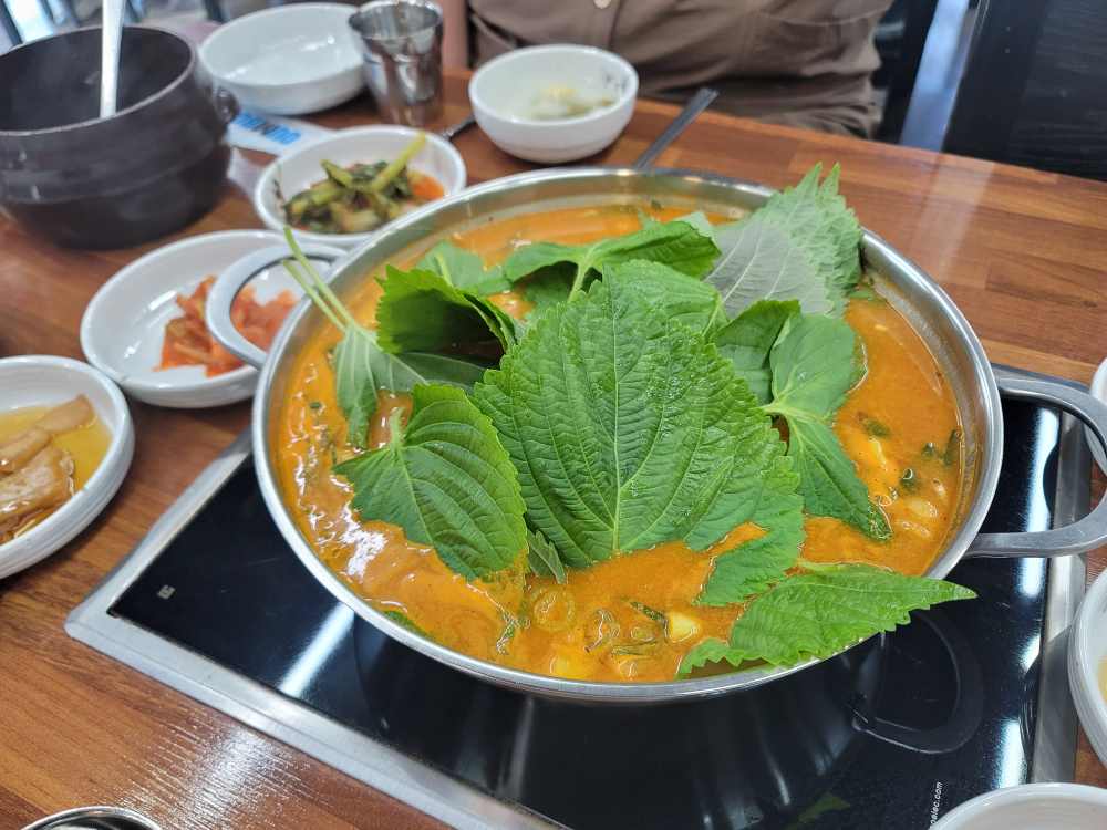 본가어죽 4