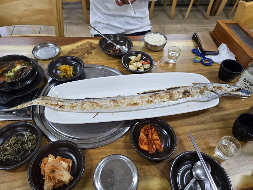 연송갈치 사진 2