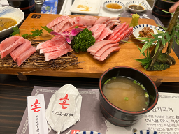 혼참치 4