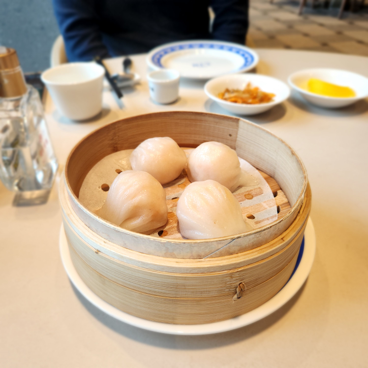 테이블린 6