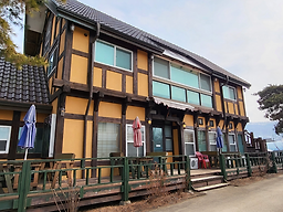 소나무 1