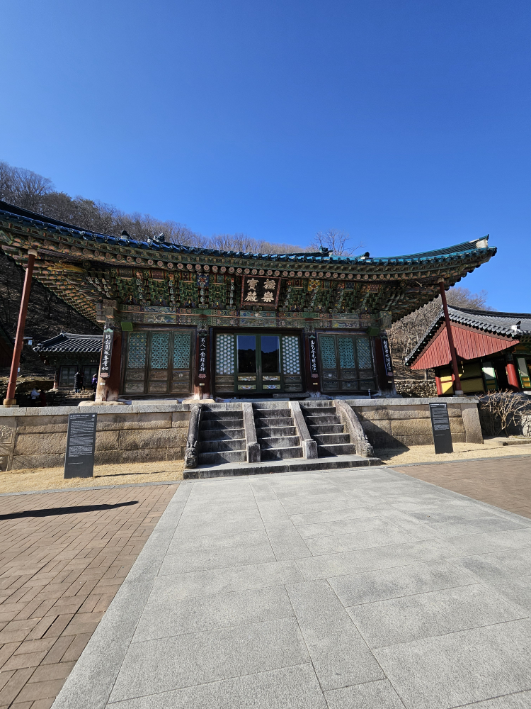 온천골토종닭막국수 5