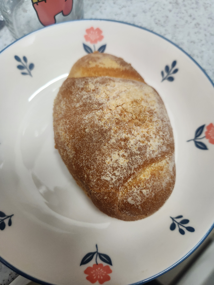 백투디저트