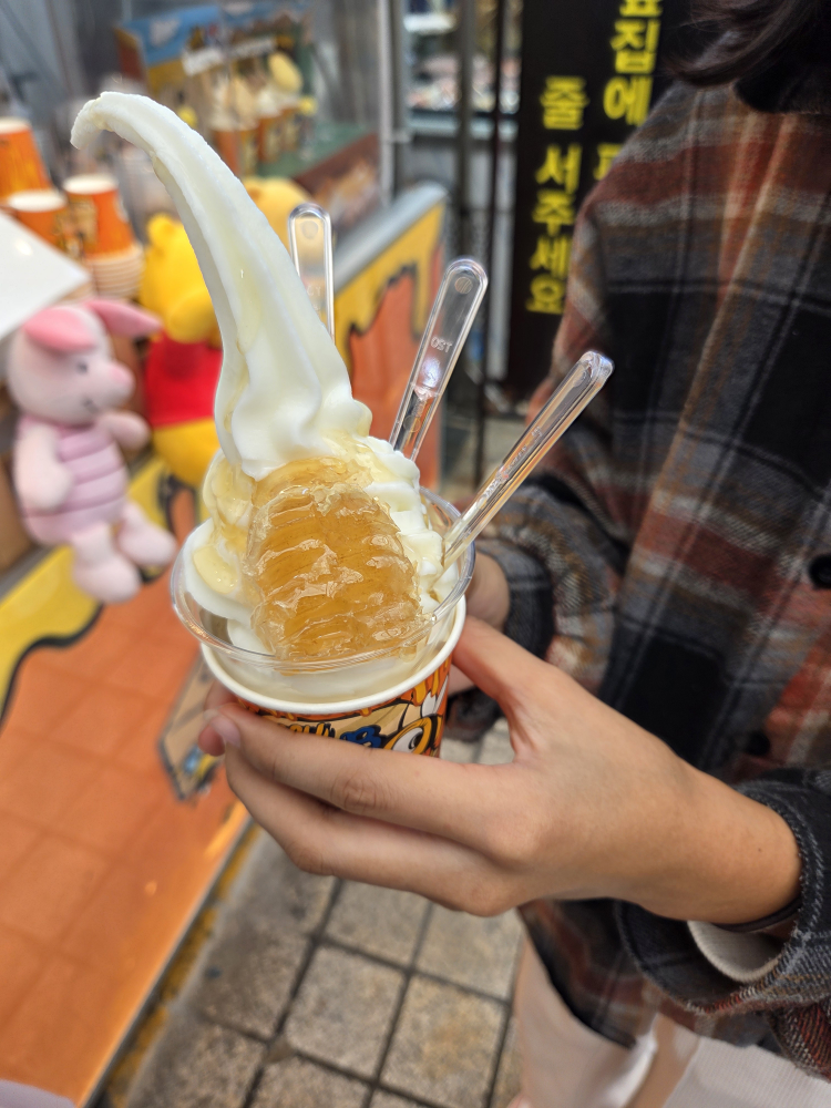 속초벌집아이스크림 4