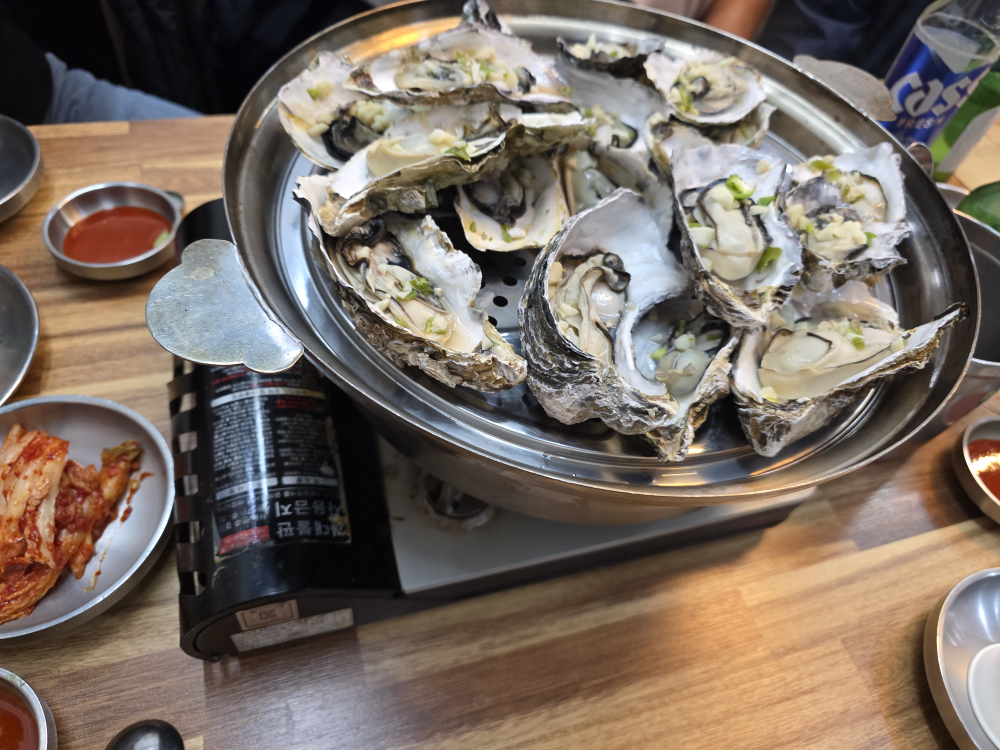 전복만세 2