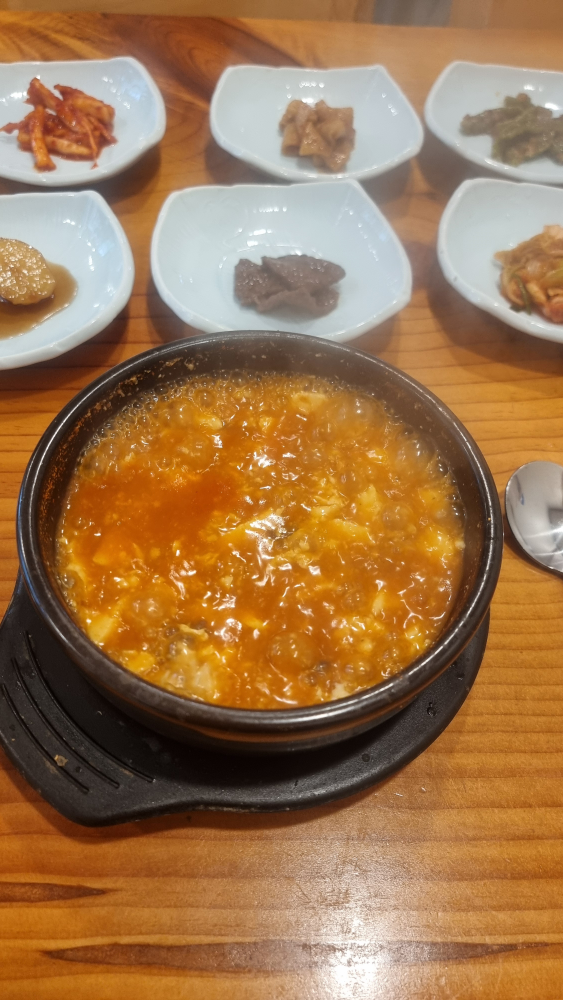 Duhyang 6