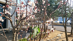 엄마의봄날 3