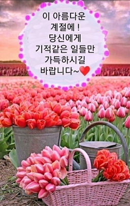Bongatongyeongsikdang (본가통영식당) 1