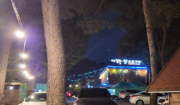 Yetnalchamsutwangsogeumgui (옛날참숯왕소금구이) 1