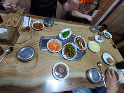 등나무 1
