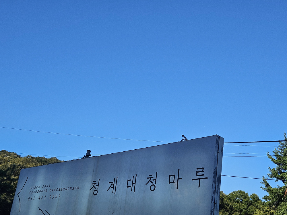Cheonggyedaecheongmaru (청계대청마루) 2