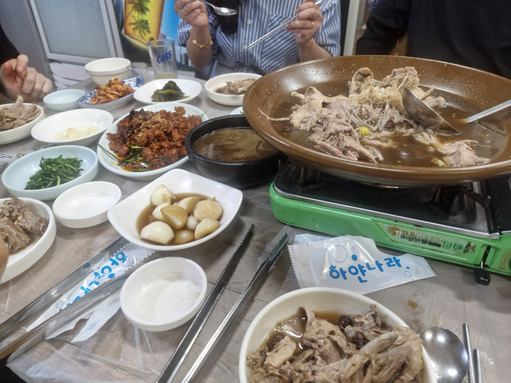 허가네산약초오리 2