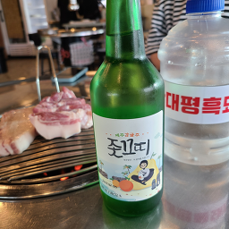 대평흑돼지 사진 4