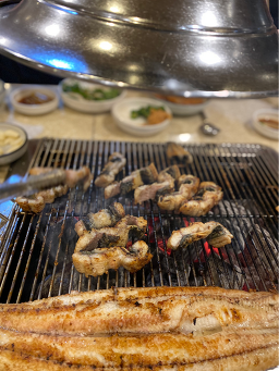 유동민물장어 1