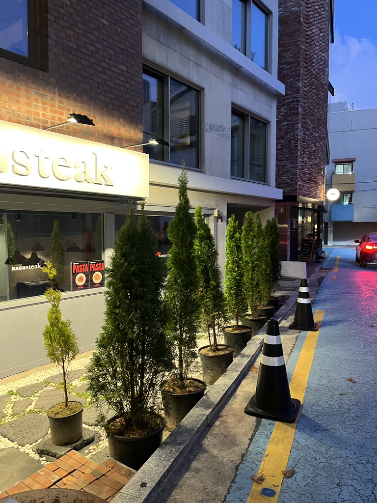 라구 사진 3