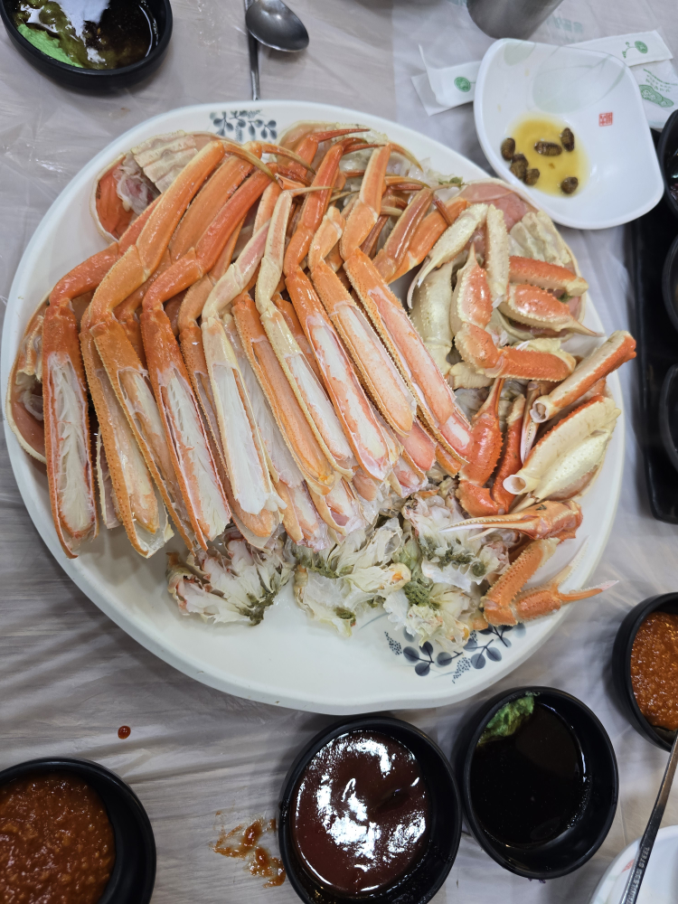 해양회대게센타 1