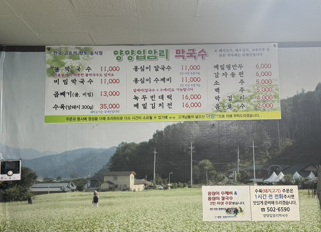Yangyangipamrimakguksu (양양입암리막국수) 1