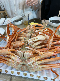 동남호대게 3