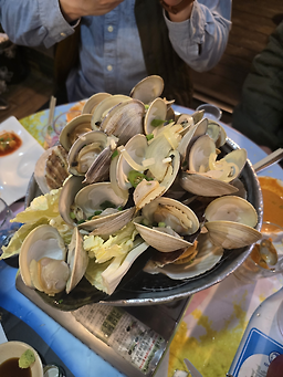 맛짱조개 사진 7