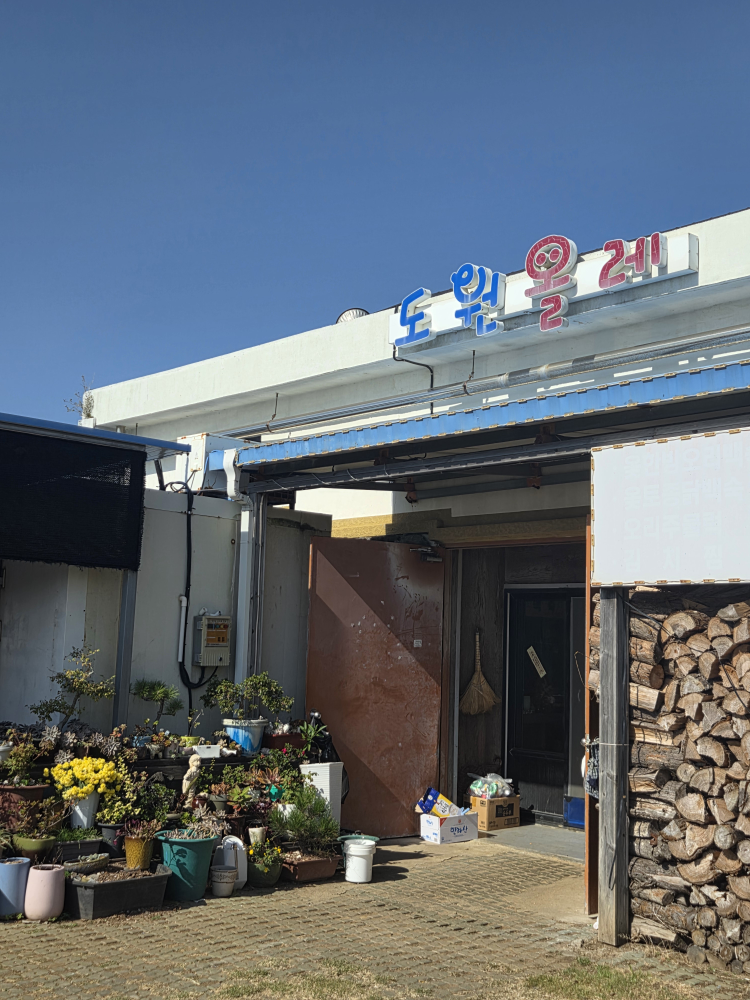 도원올레 대표 사진