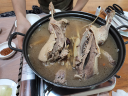 Tohyang (토향) 3