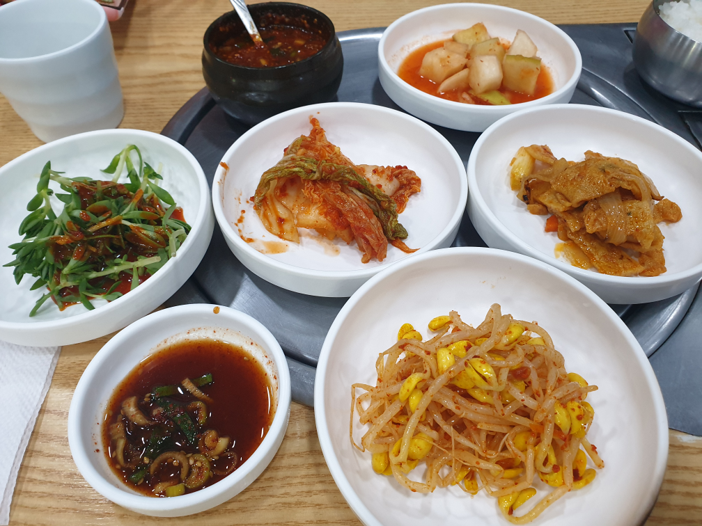콩마당 4