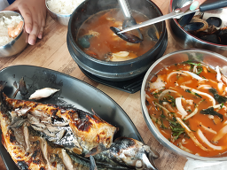 물회야 사진 4