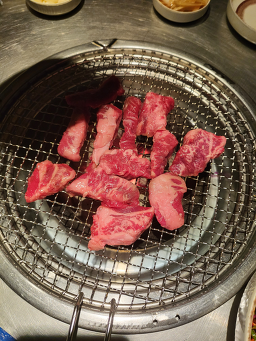 신부산갈매기 2