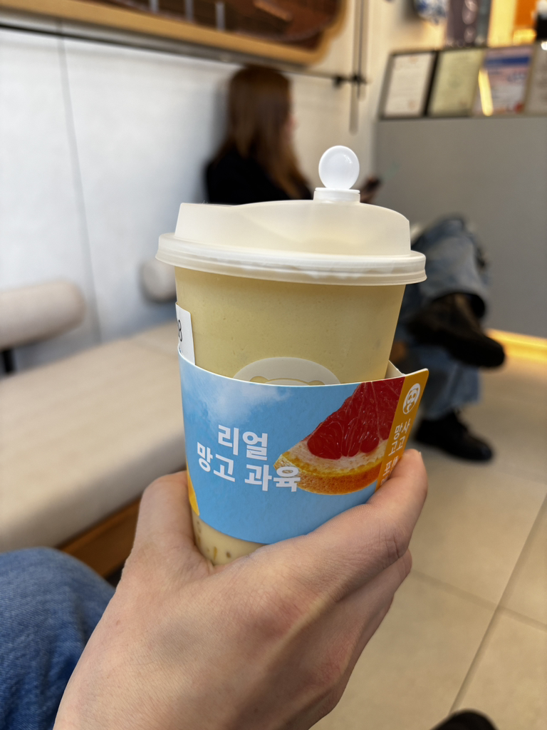 차백도 5