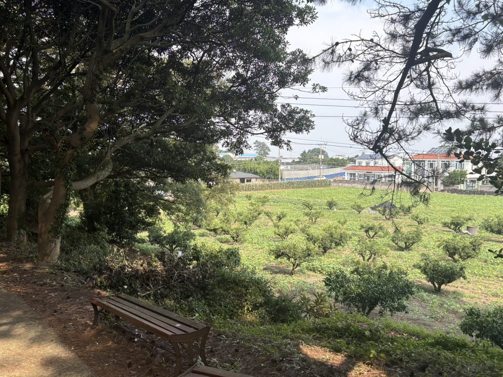 여름의정 사진 2