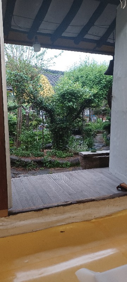 도심의터 1