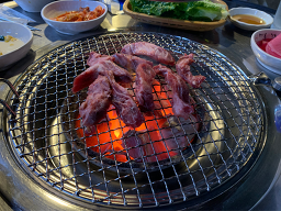 불타는갈매기 아라점 사진 5