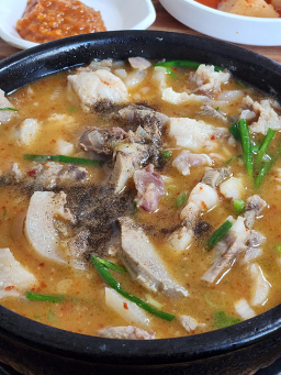 양지식당 1