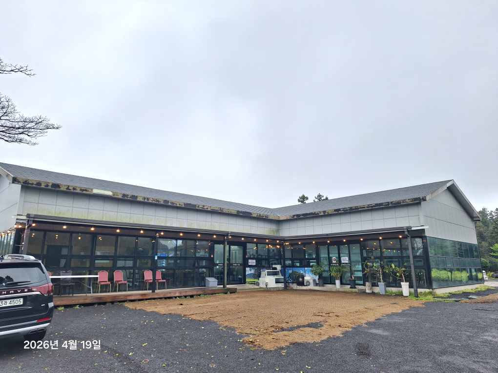 교래퐁낭 사진 3