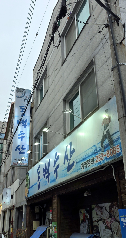 동백수산 2