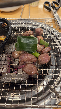 을지갈매기 사진 7