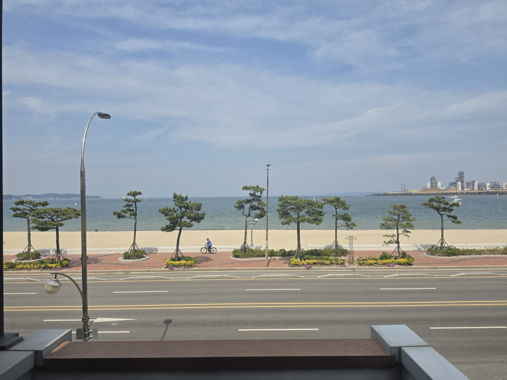 스타벅스 포항송도점