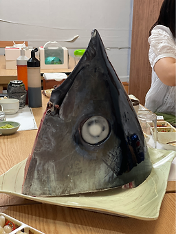 Noba 6