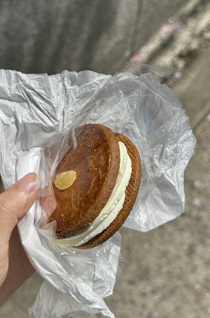 비스퀴테리 산 사진 2