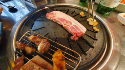 춤추는돼지 사진 6