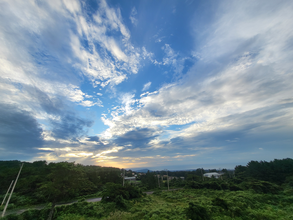김선문 사진 8