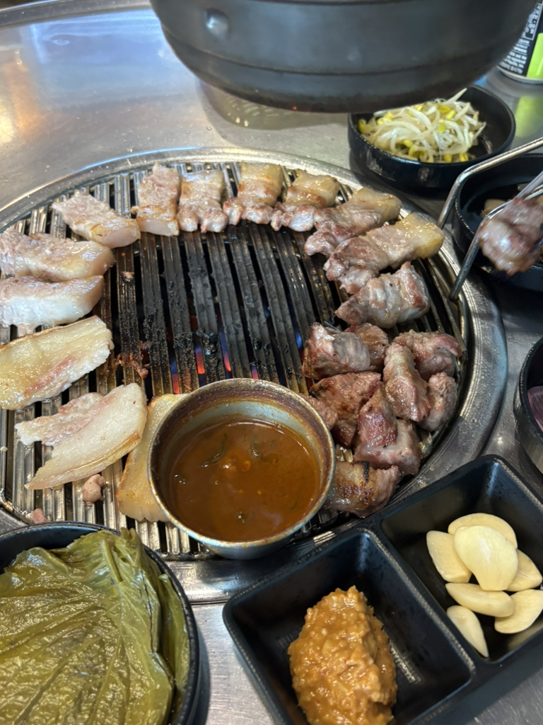 대평흑돼지 사진 3
