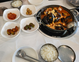 소나무 6