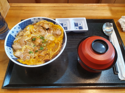 부타센세 사진 6