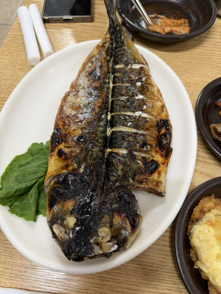 연송갈치 사진 6