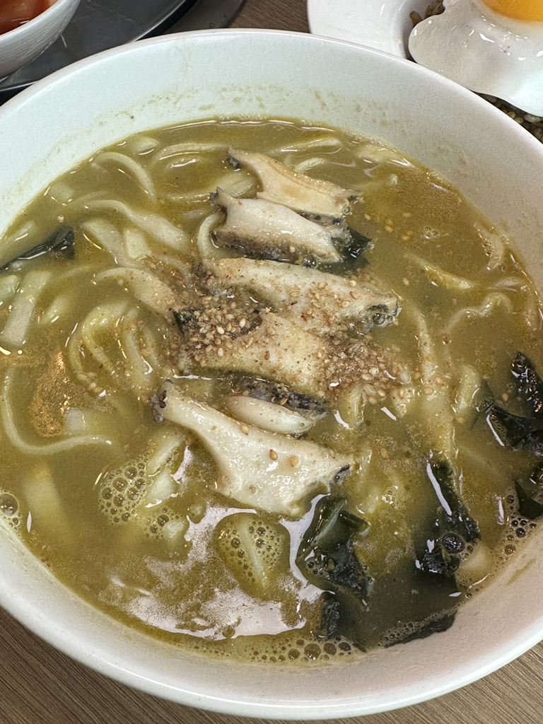 편백돈나무 사진 2