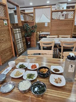 수련 3