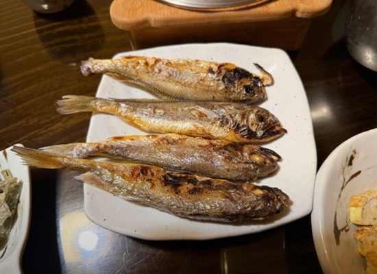 해가빛 4