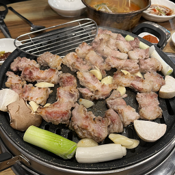 금관꽃돼지 6
