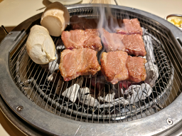 연남제비 사진 8